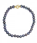 Fresh Water Pearl Necklace - Black